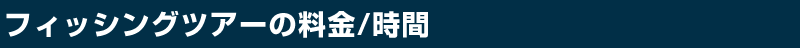 フィッシングツアーの料金/時間