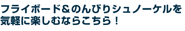 フライボード&のんびりシュノーケルを気軽に楽しむならこちら!