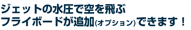 ジェットの水圧で空を飛ぶフライボードが追加(オプション)できます!