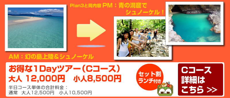 Cコース:幻の島+石西礁湖シュノーケル+青の洞窟シュノーケル(1Day)ツアー!!