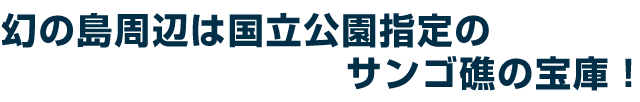 幻の島周辺は国立公園指定のサンゴ礁の宝庫!