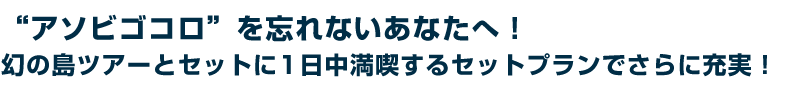 アソビゴコロを忘れないあなたへ!幻の島ツアーとセットに1日中満喫するセットプランでさらに充実!