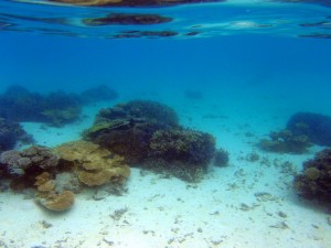 石垣島天気