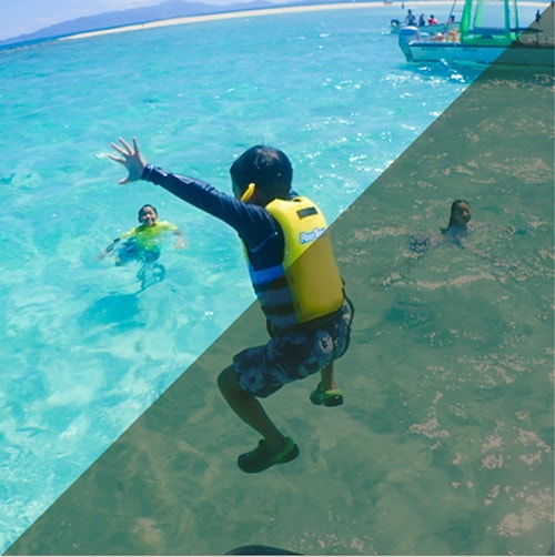 半日プラン