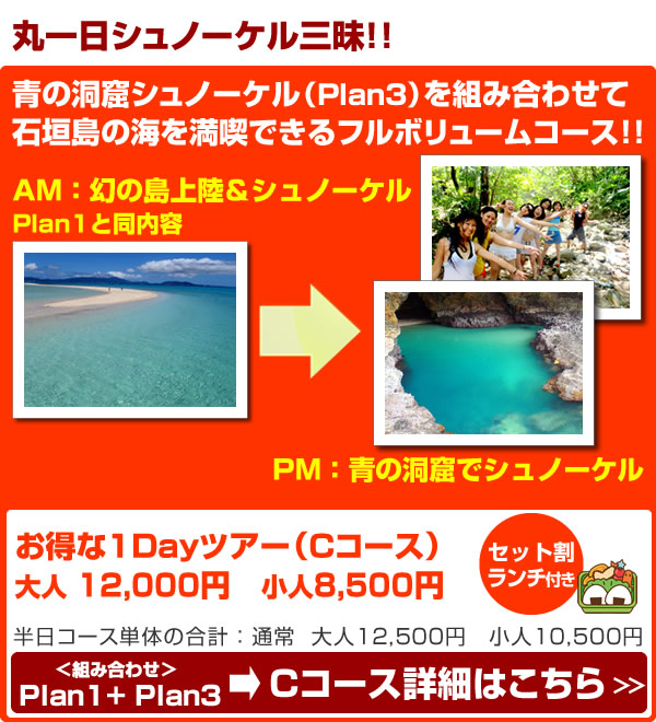 Cコース：幻の島+石西礁湖シュノーケル+青の洞窟シュノーケル（1Day）ツアー！！