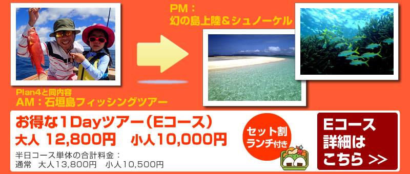 Eコース：フィッシングツアー+幻の島上陸+シュノーケル（1Day）ツアー！！