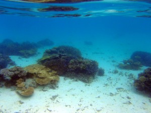 石垣島の天気 気候 服装 ライズ石垣島 石垣島の天気 気候 服装 ライズ石垣島