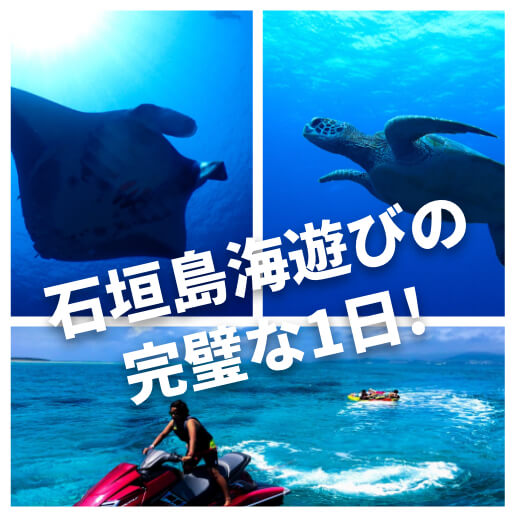 (1日) マンタorウミガメシュノーケル&奇跡の無人島「幻の島」上陸ツアー&マリンスポーツ16種遊び放題