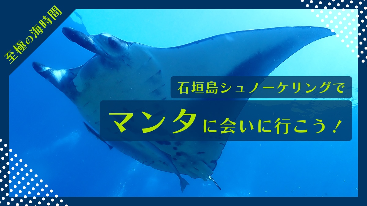 石垣島マンタ｜シュノーケリングで会いに行こう！のサムネイル