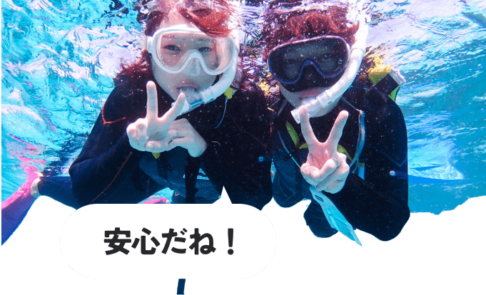 安心だね