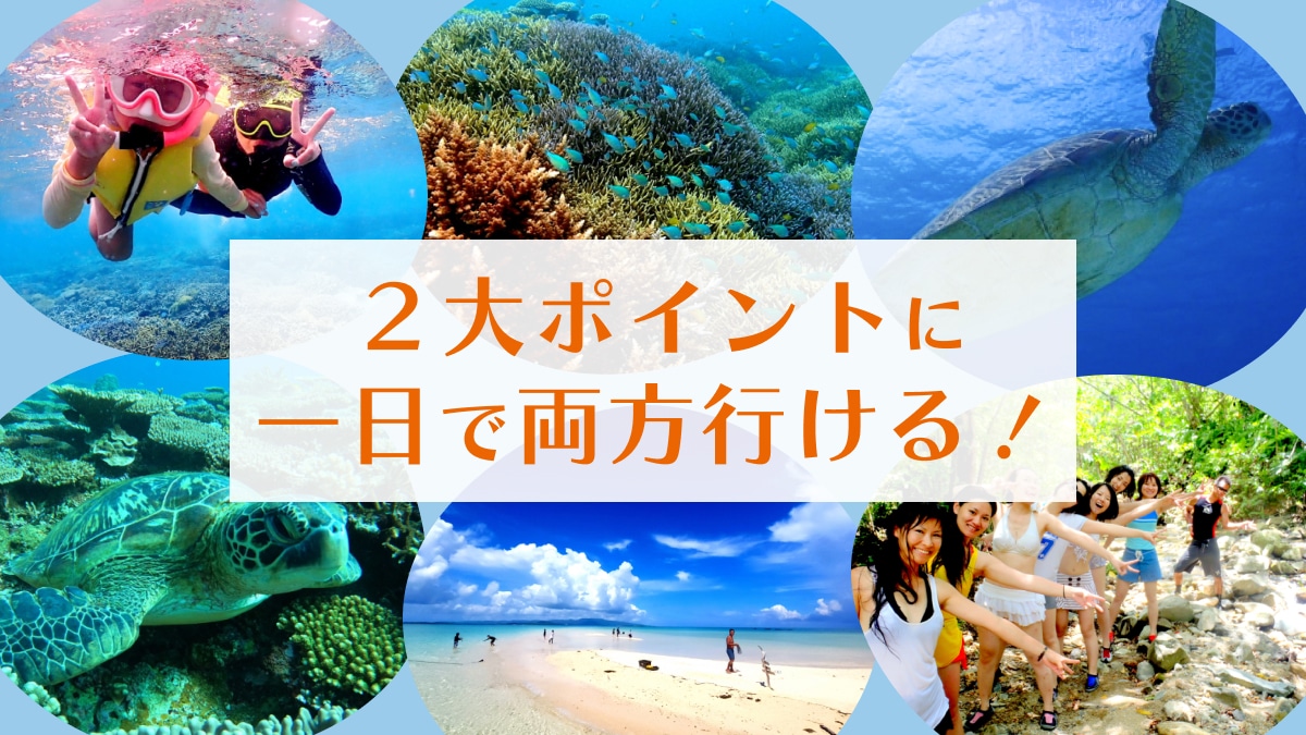 幻の島 + トロピカルシュノーケル + 青の洞窟探検・ウミガメビーチシュノーケリング(1日)