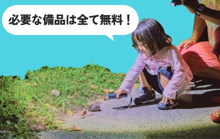 懐中電灯の無料貸出