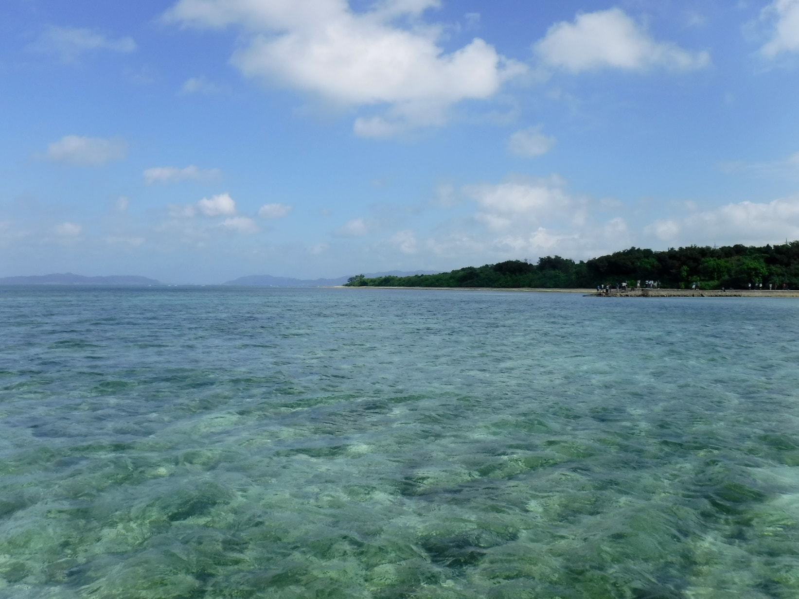 石垣島　海況