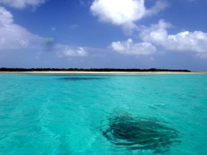 石垣島　7月～8月　天気・気温