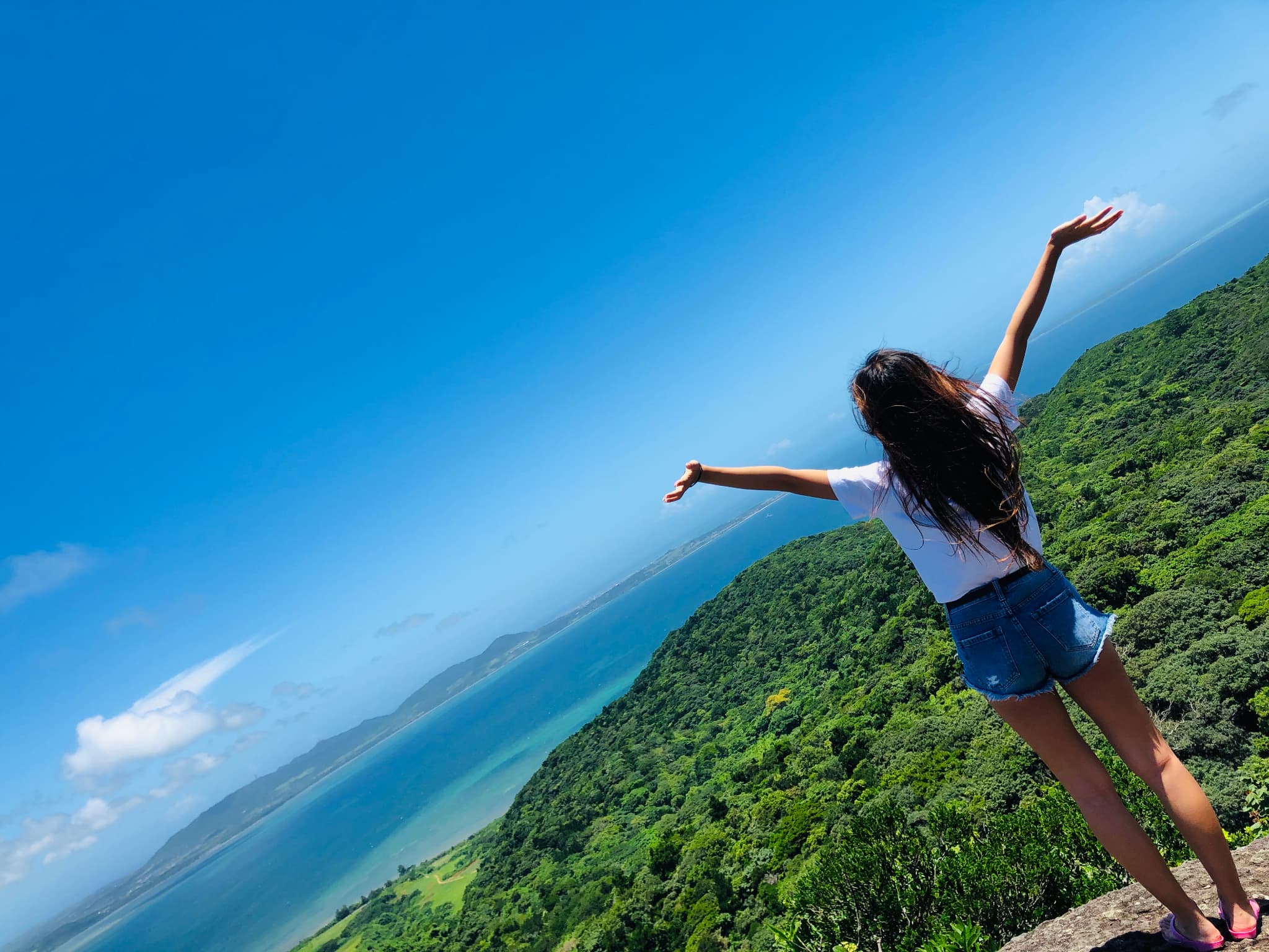 海を見下ろせる山の高台から料亭を広げ景色を眺める女性の様子