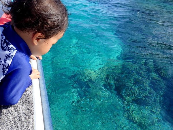 まだ泳げない2歳くらいの子供が船から見える透明な海中を覗いています
