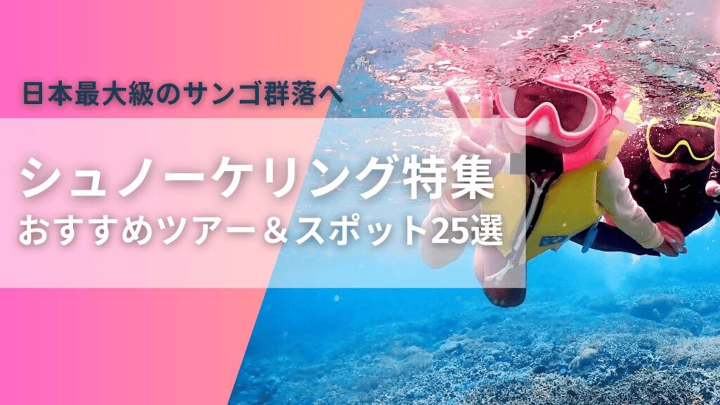 石垣島の人気シュノーケリングツアー＆おすすめスポット25選完全ガイド