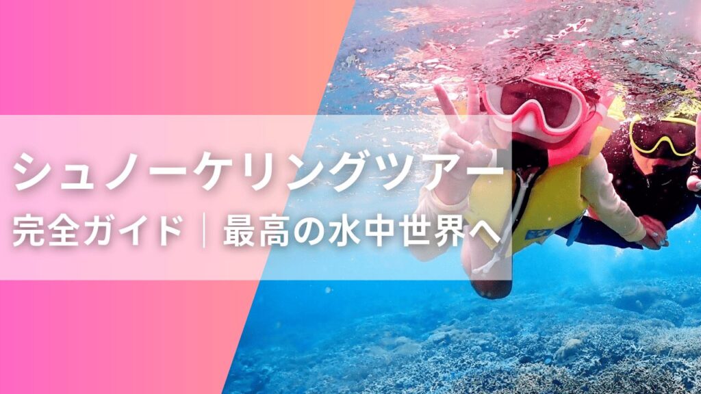 石垣島シュノーケリングツアー完全ガイド｜自分に合う体験の選び方