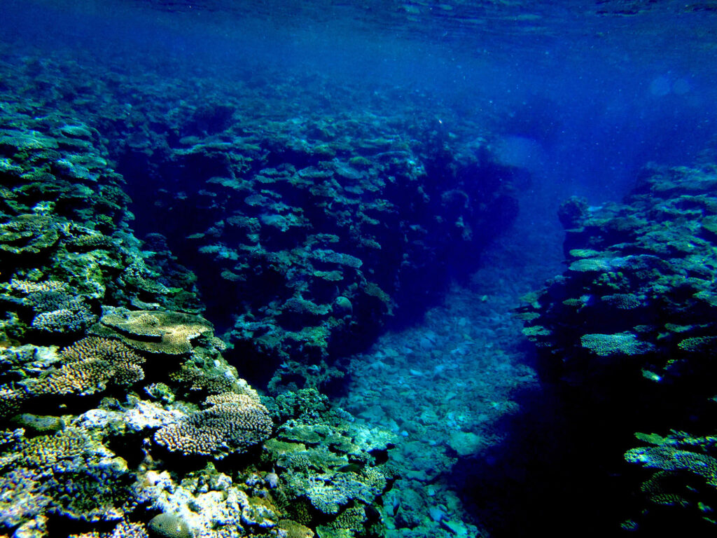 シュノーケリングはアウトリーフまで泳ぎにいきます。サンゴや魚に囲まれダイナミックな水中世界です。