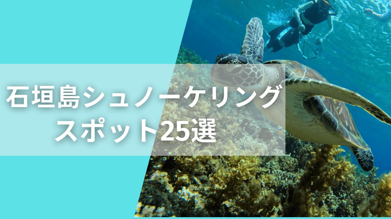 石垣島のシュノーケリングスポット25選｜海の特徴から分かる楽しみ方