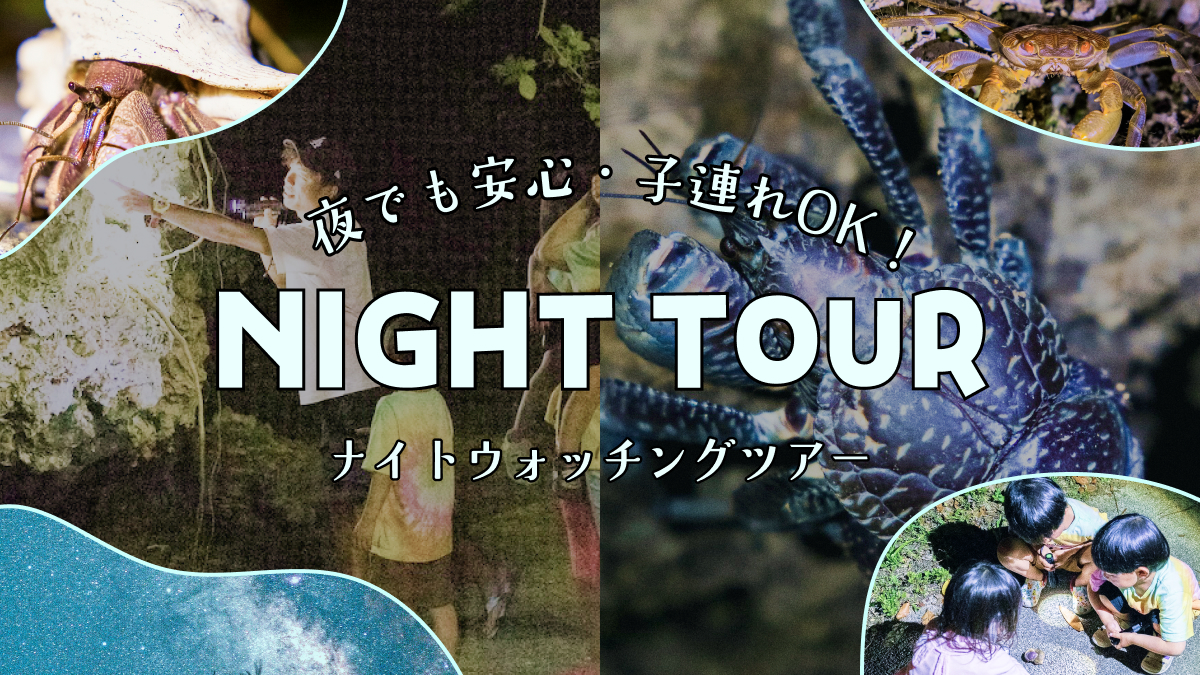 【ナイトツアー】石垣島ナイトウォッチングツアー(約1時間／現地集合プラン)